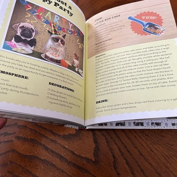 Grumpy Cat Book | hardcover - Picture 7 of 10
